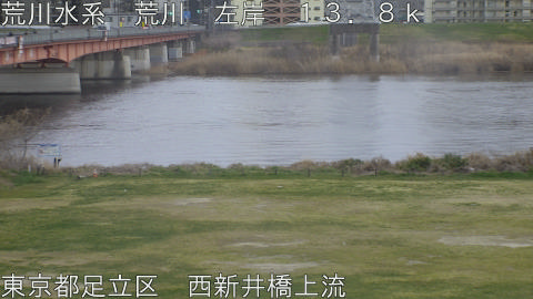 arani2026031917_image