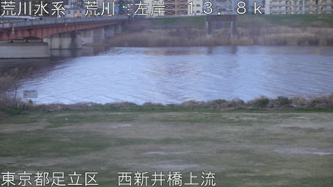 arani2026031918_image