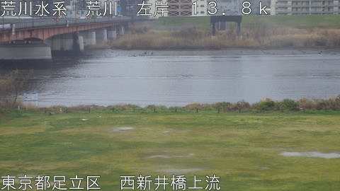 arani2026032013_image