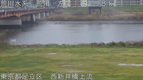 arani2026032014_image