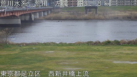 arani2026032015_image