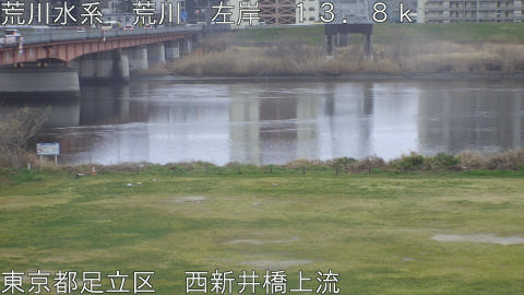 arani2026032016_image