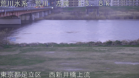 arani2026032106_image