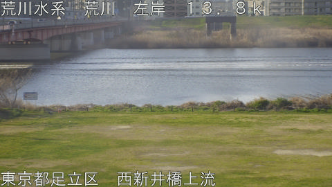 arani2026032108_image