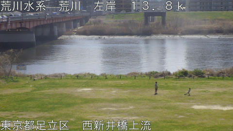 arani2026032112_image