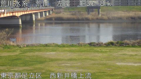 arani2026032116_image