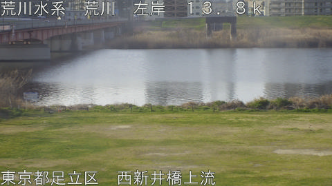 arani2026032208_image