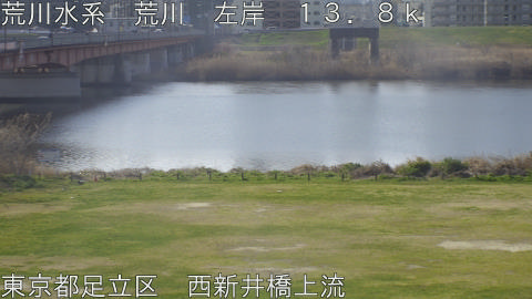 arani2026032209_image