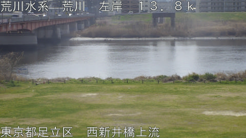 arani2026032211_image