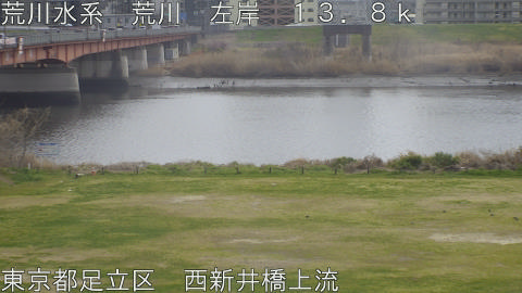 arani2026032213_image