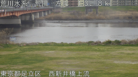 arani2026032216_image