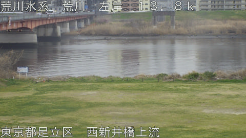 arani2026032312_image