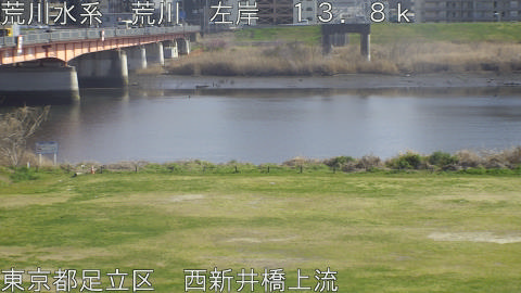 arani2026032315_image