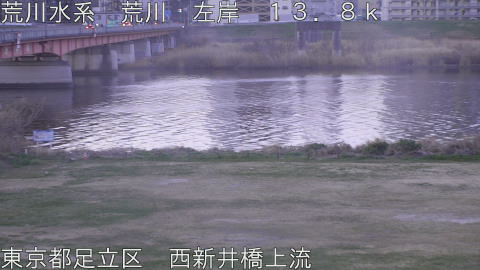 arani2026032406_image