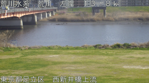 arani2026032415_image