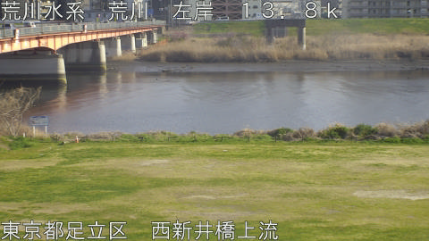 arani2026032416_image