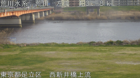 arani2026032417_image