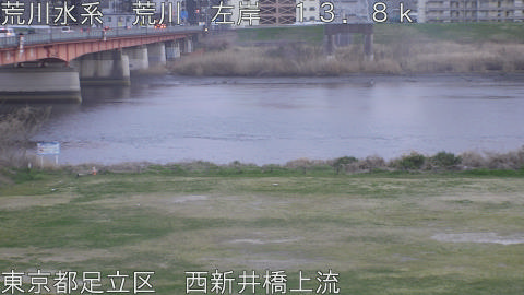 arani2026032418_image