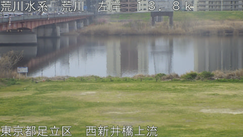 arani2026032509_image