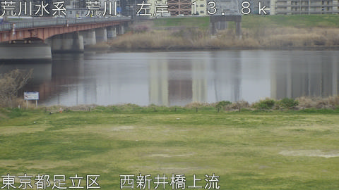 arani2026032511_image