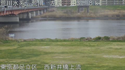 arani2026032512_image