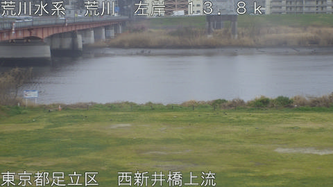 arani2026032514_image