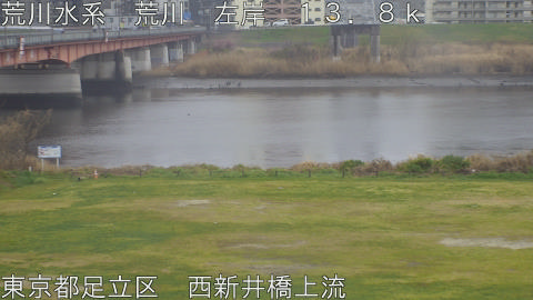 arani2026032515_image