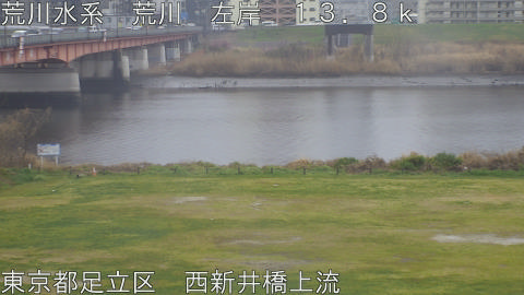 arani2026032516_image