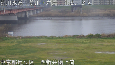 arani2026032517_image