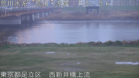 arani2026032518_image