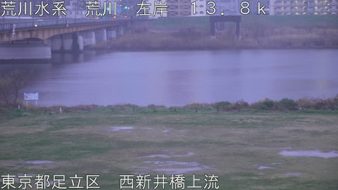 arani2026032606_image