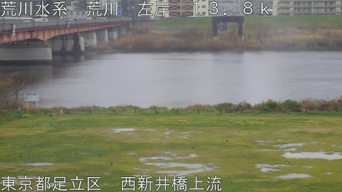 arani2026032612_image