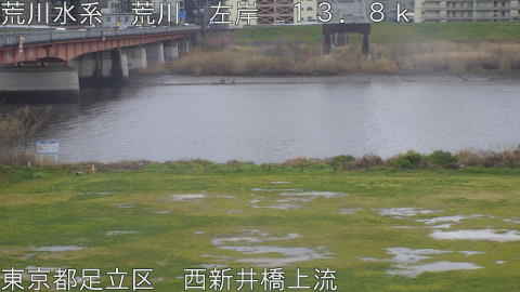 arani2026032616_image