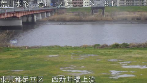 arani2026032617_image