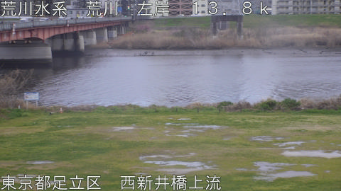 arani2026032618_image