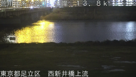 arani2026032620_image