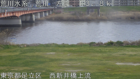 arani2026032715_image