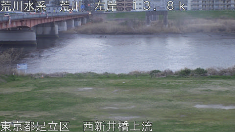 arani2026032718_image