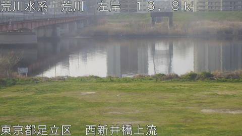 arani2026032908_image