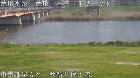 arani2026032915_image