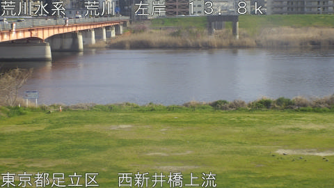 arani2026032916_image