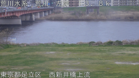 arani2026032918_image