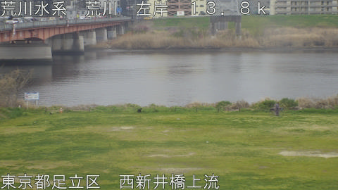 arani2026033008_image