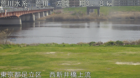 arani2026033014_image