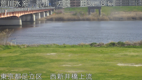 arani2026033015_image