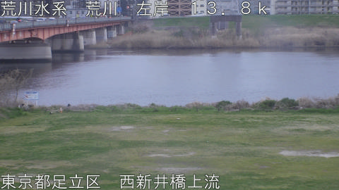 arani2026033018_image