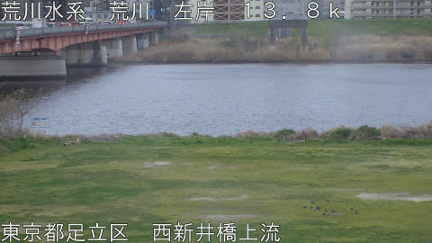 arani2026033107_image