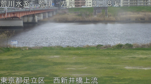 arani2026033109_image