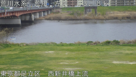 arani2026033111_image