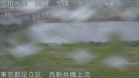 arani2026033113_image